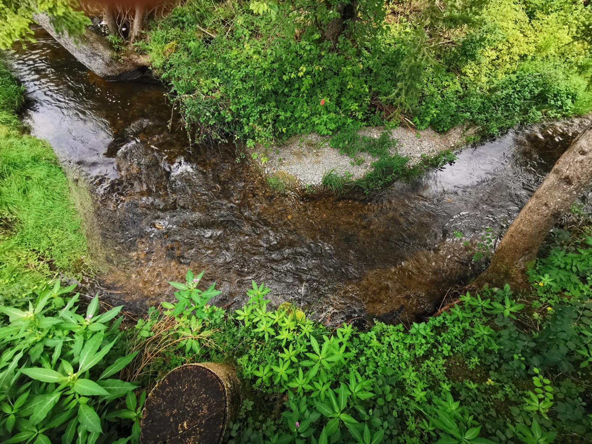 伯拜恩 Wald Ist Zukunft酒店 外观 照片
