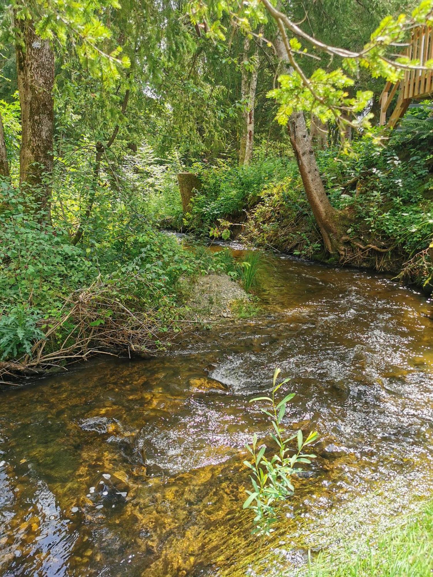 伯拜恩 Wald Ist Zukunft酒店 外观 照片