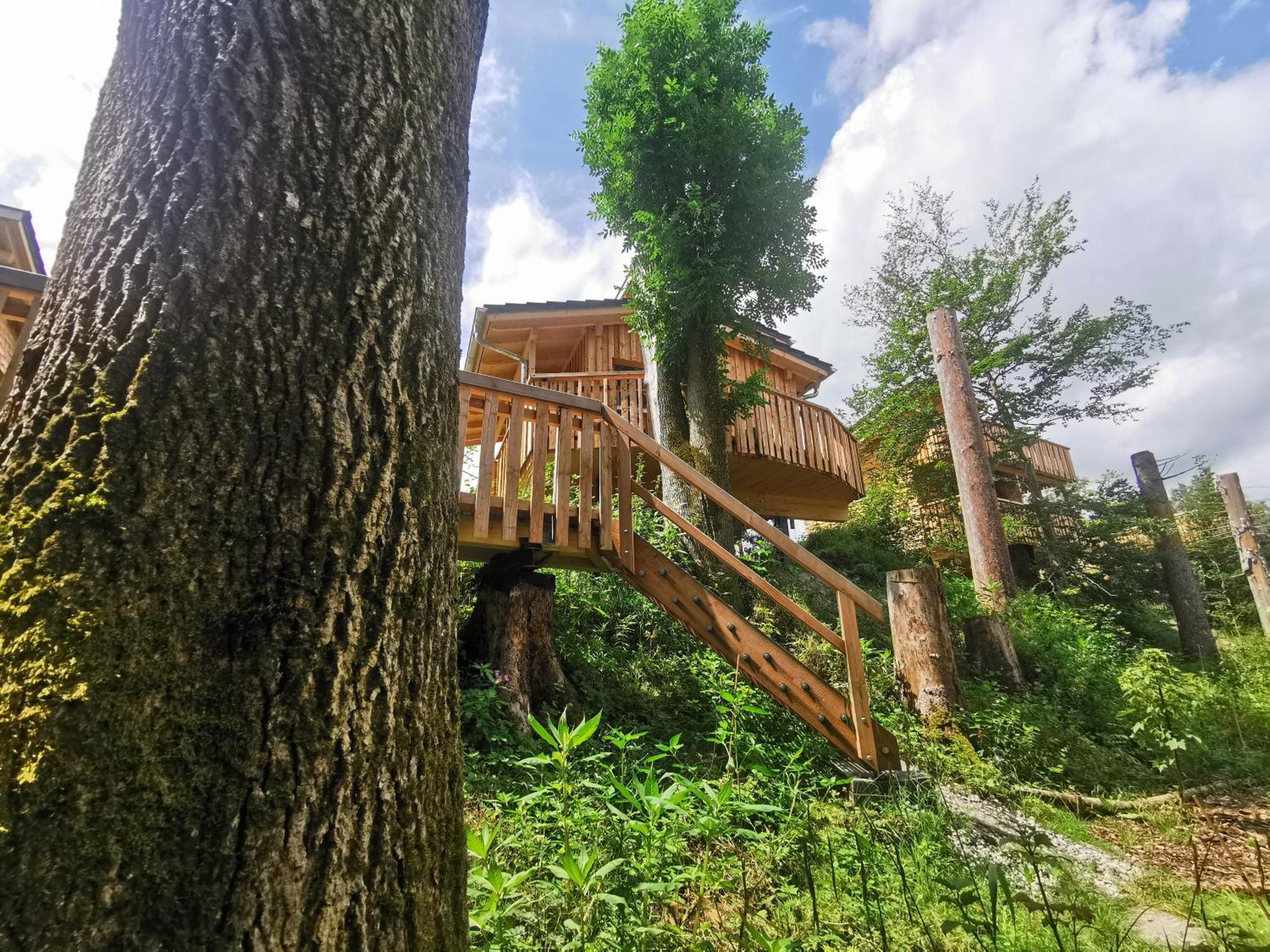 伯拜恩 Wald Ist Zukunft酒店 外观 照片