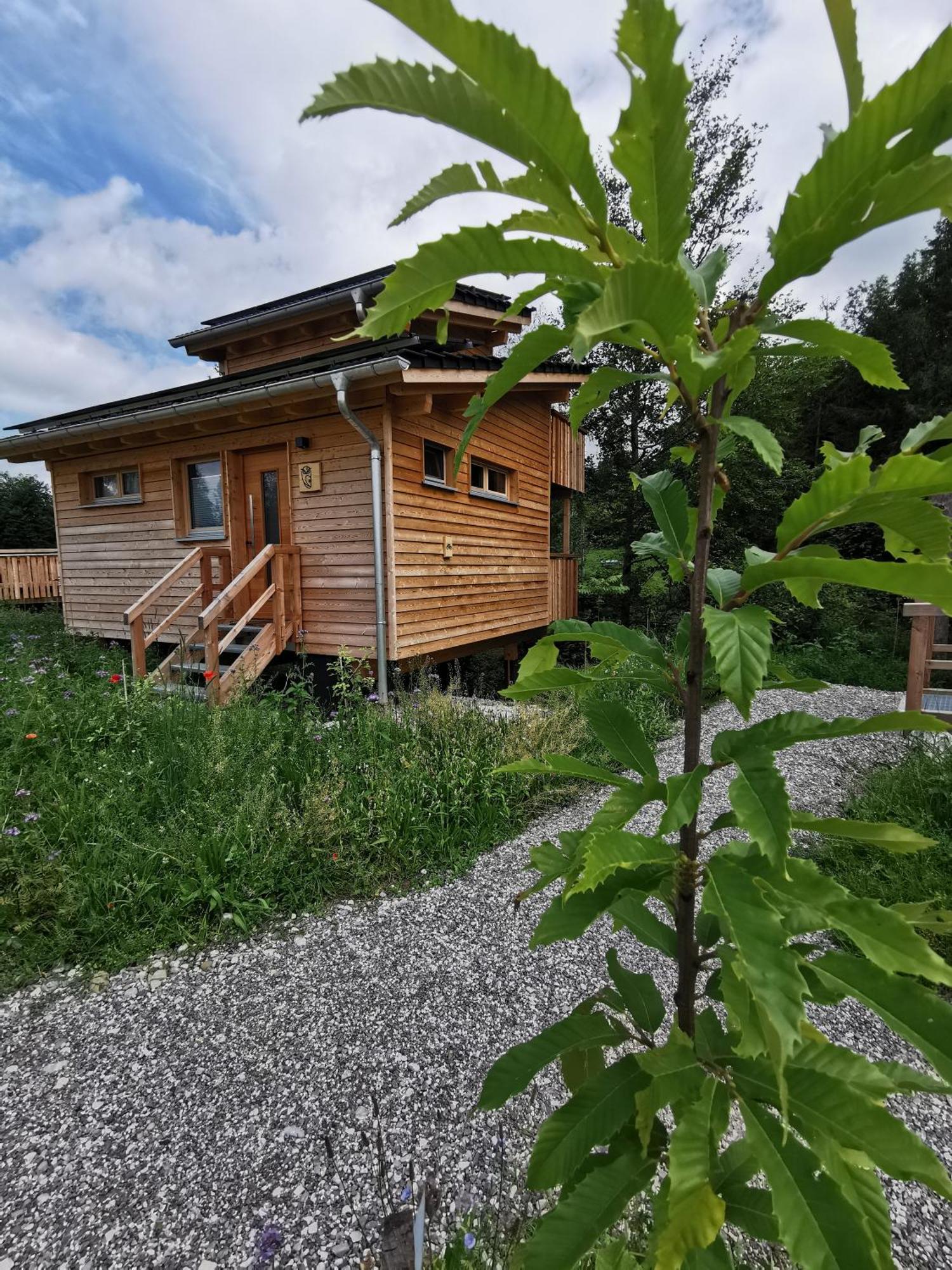 伯拜恩 Wald Ist Zukunft酒店 外观 照片