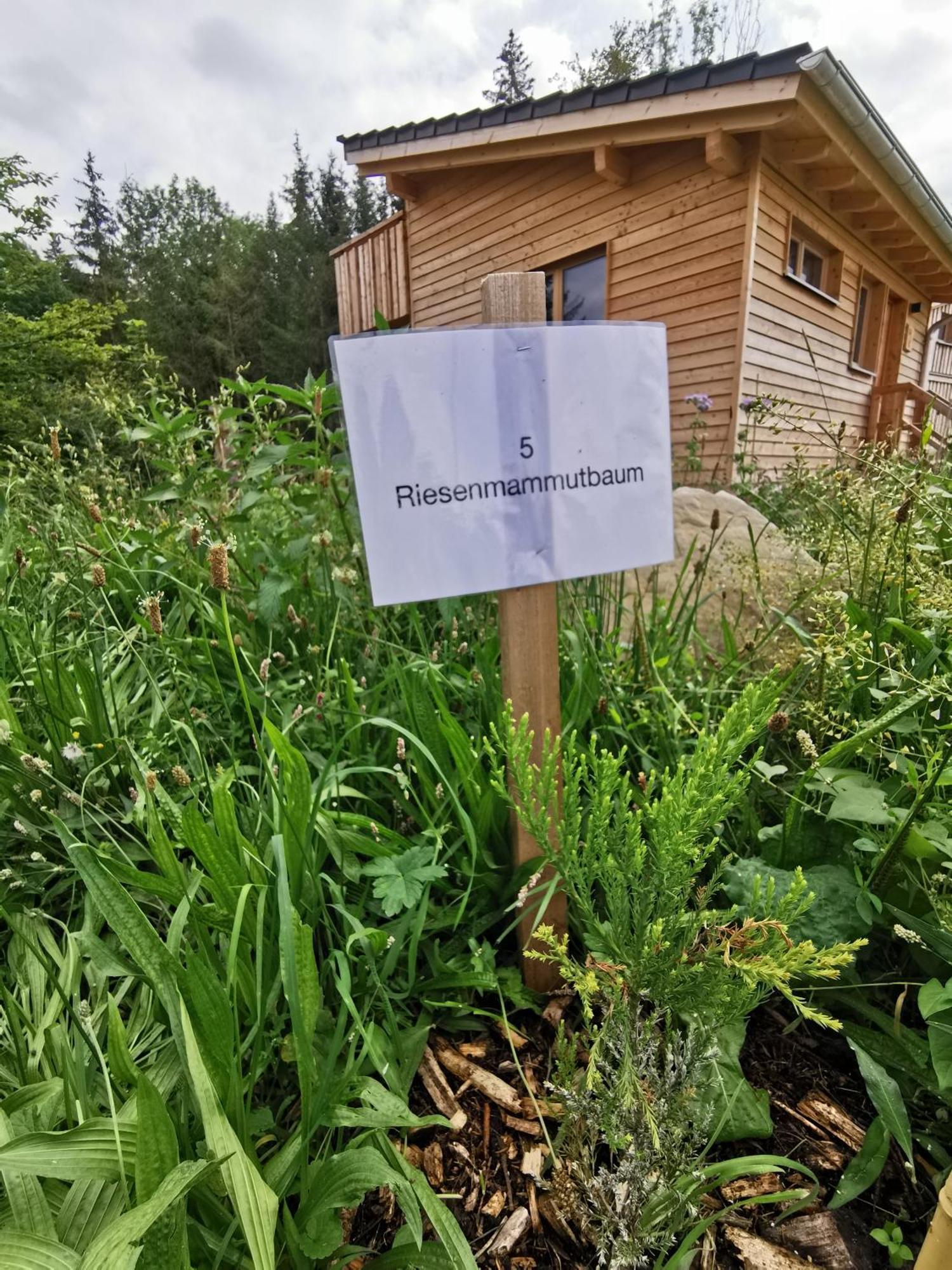 伯拜恩 Wald Ist Zukunft酒店 外观 照片