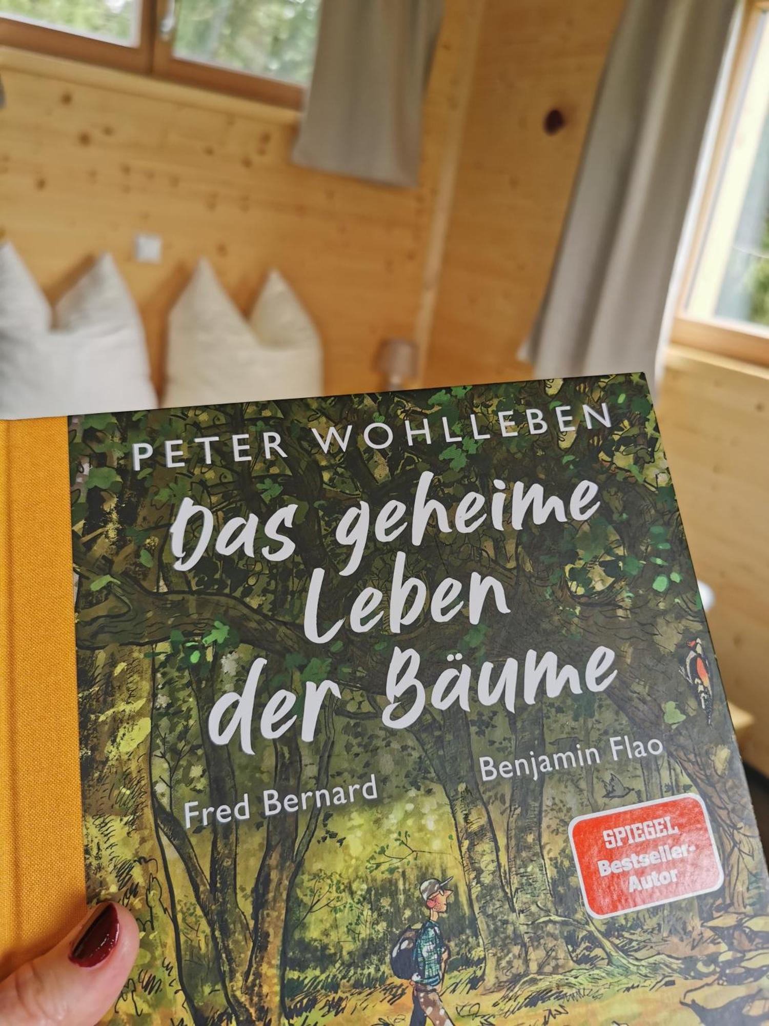 伯拜恩 Wald Ist Zukunft酒店 外观 照片