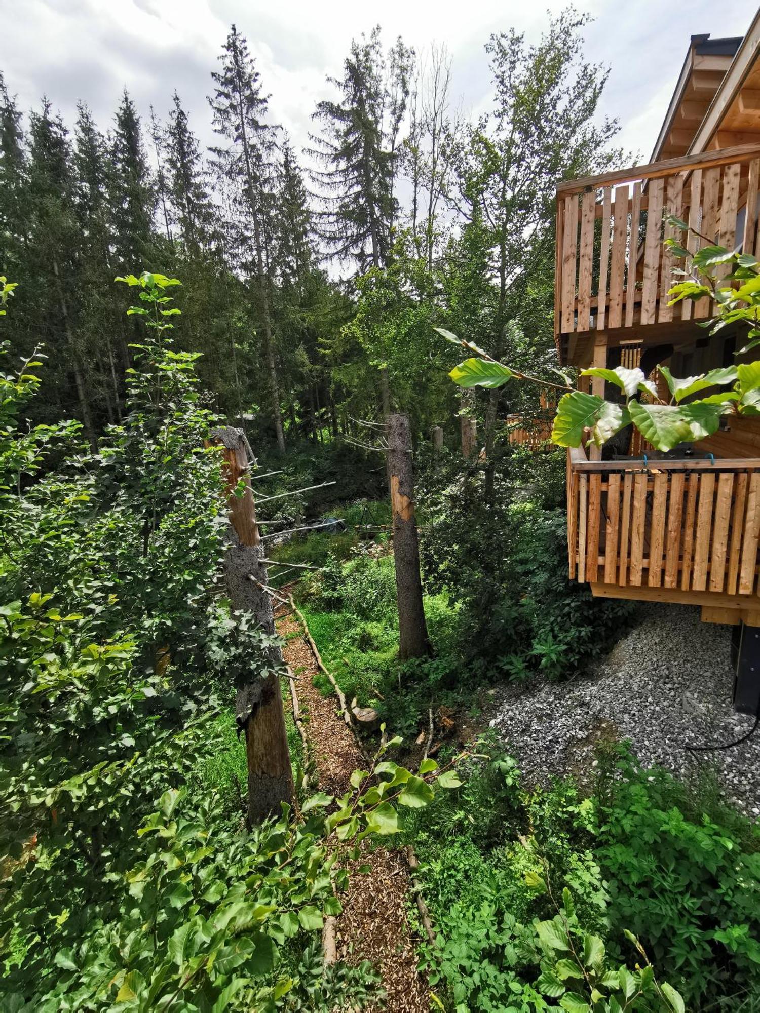 伯拜恩 Wald Ist Zukunft酒店 外观 照片
