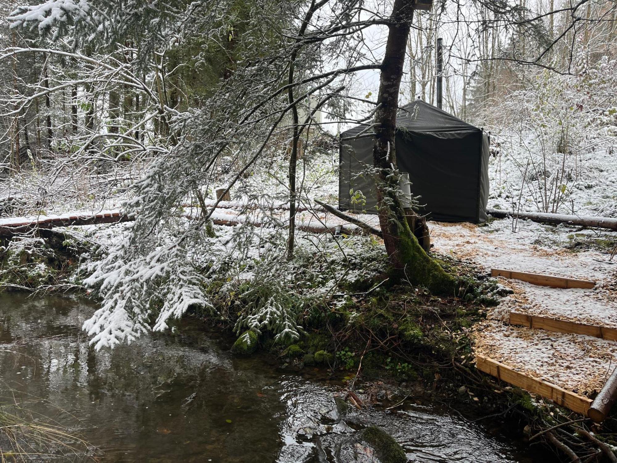 伯拜恩 Wald Ist Zukunft酒店 外观 照片