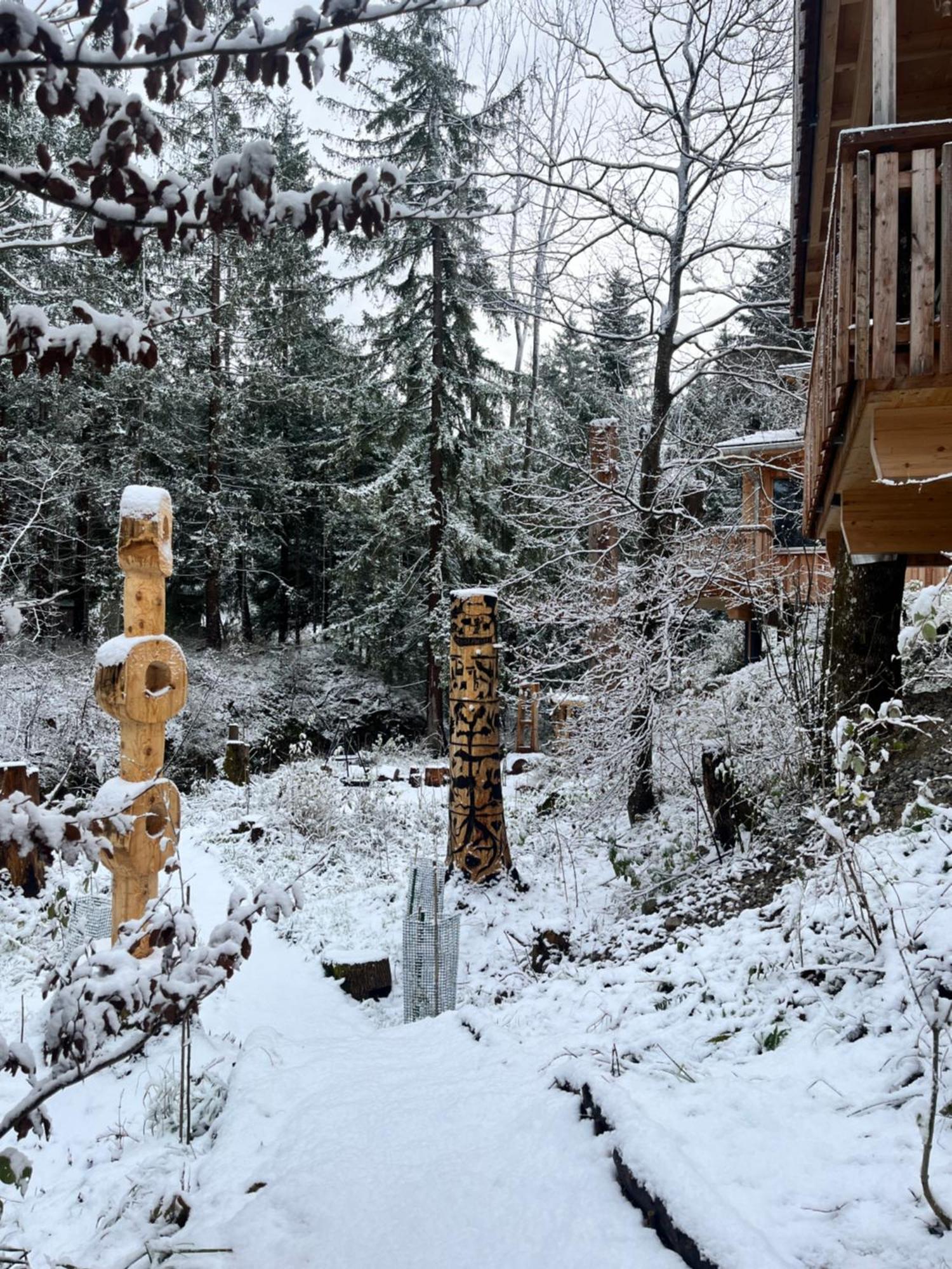伯拜恩 Wald Ist Zukunft酒店 外观 照片